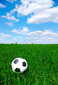 草地上的足球足球图片