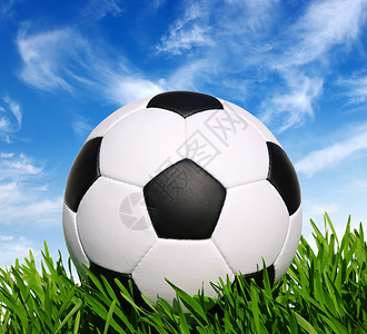 草地上的足球足球图片