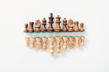 白色背景上由棕色和米木象棋图组成的图片