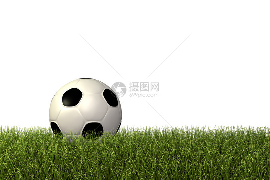 绿色草地上足球足球的图像图片