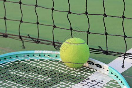 在网球场的网球图片
