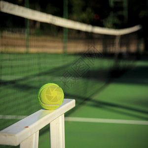 网球特写：夏日绿草场上的专业竞技乐趣图片