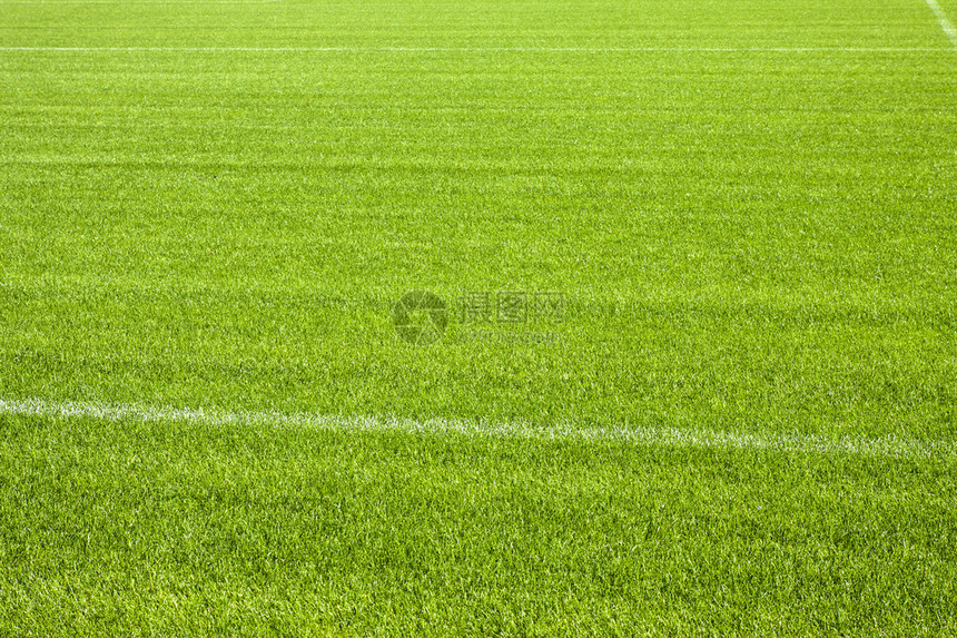 足球草背景图片