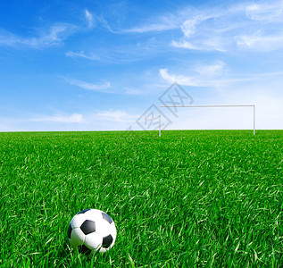 绿色草坪上的足球背景图片