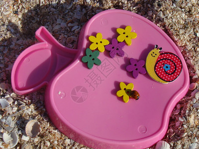 沙滩玩具多彩的蜗牛木花按钮和玫瑰图片