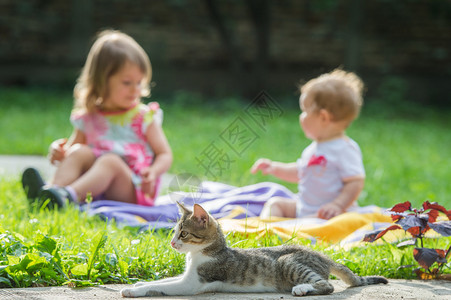 猫与孩子的背景图片