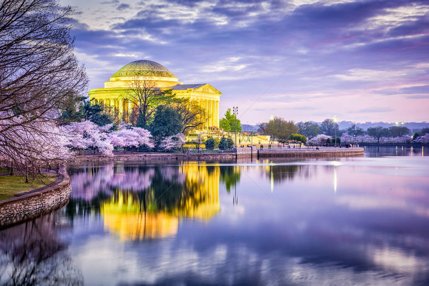 花树后的华盛顿杰斐逊纪念堂图片