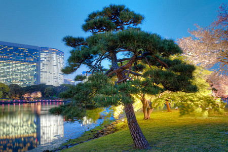 Rikyu花园和现代摩天大厦图片