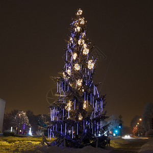 城市夜晚的圣诞树图片