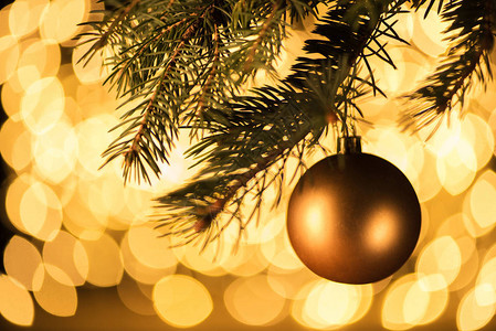 金色的圣诞舞会挂在树上的松树上图片