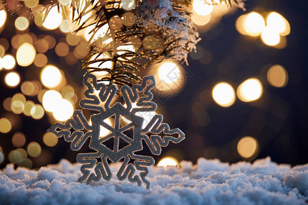 装饰雪花有雪中树枝和白日光图片