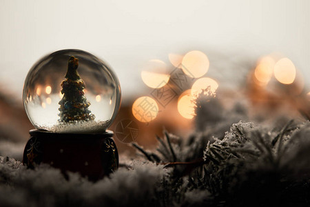 雪花球小圣诞树站在的采枝图片