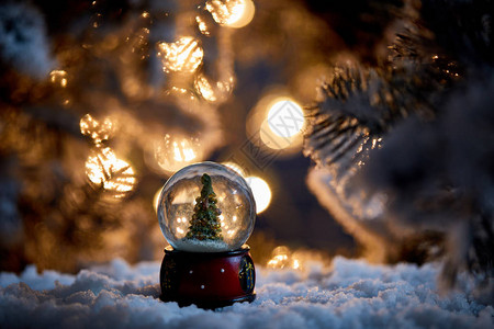 雪球中的圣诞树在雪中站着图片
