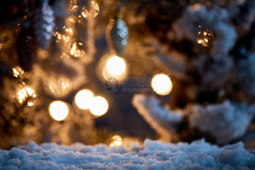 在雪中紧的树枝与圣诞节图片