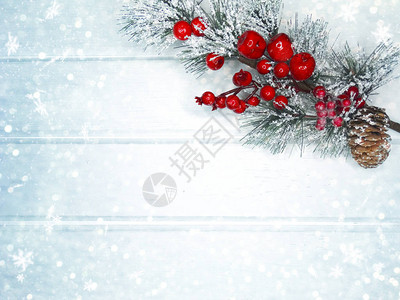 冬季圣诞节有卷叶圆锥和木图片