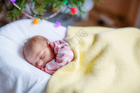 一周大的新生婴儿睡在圣诞树旁图片
