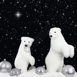 圣诞夜雪地上的白熊图片
