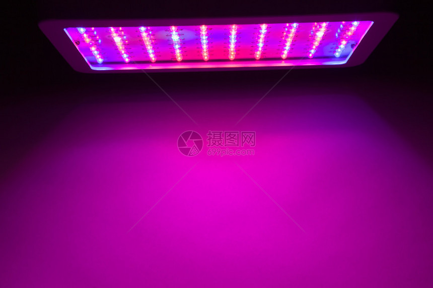 LED增光图片