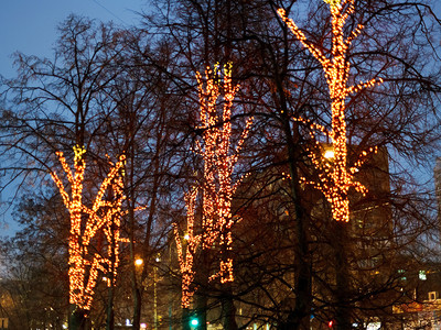 冬夜树上的圣诞灯饰图片
