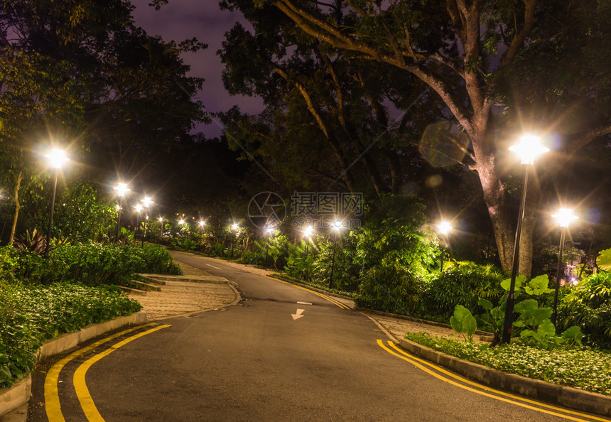 新加坡植物园的公路照明夜间装饰图片
