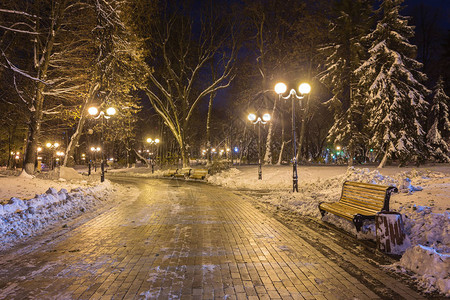 冬季夜景冬季树木下的长凳和冬季飘落的雪花下闪亮的空旷的夜公园里飘着雪图片