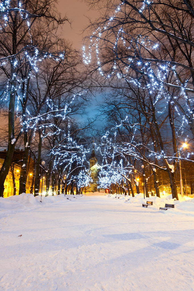 晚上在爱沙尼亚塔林Tallinn树上放着圣诞图片
