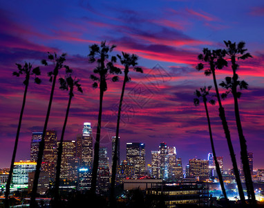 帕尔门洛杉矶日落多彩的星际天线背景