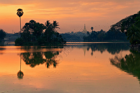 缅甸仰光Shwedagon图片