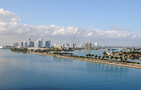 迈阿密海滨地区的热带风光图片