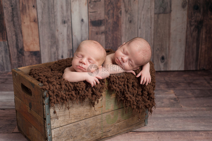 四周的兄弟双胞胎新生的婴儿男孩睡在老旧木箱里图片