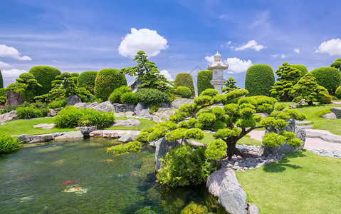 生态旅游中的美丽花园与众多承载着日本传统园林传统文化的柏树松树石头水图片