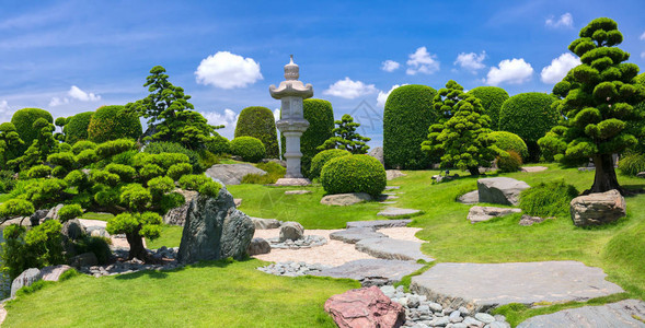 生态旅游中的美丽花园与众多承载着日本传统园林传统文化的柏树松树石头背景图片