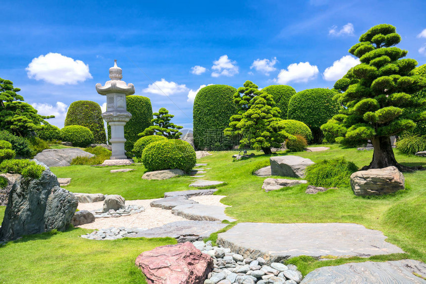 生态旅游中的美丽花园与众多承载着日本传统园林传统文化的柏树松树石头图片
