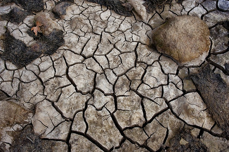 在干旱期间干涸的河床图片