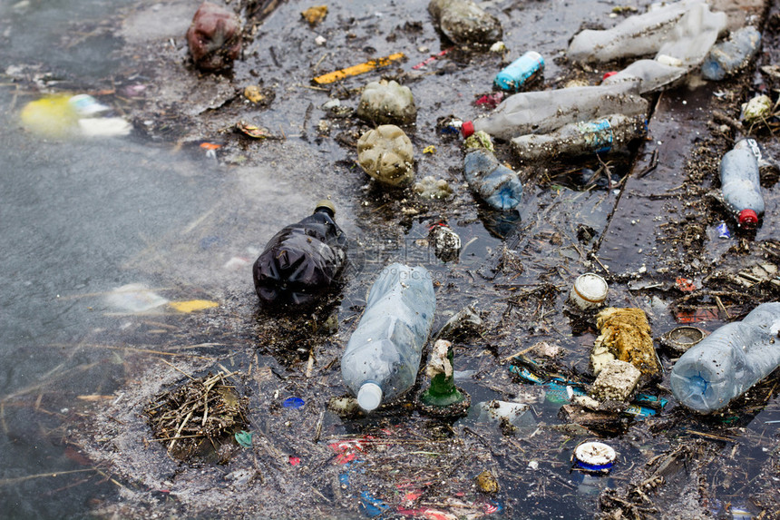 塑料瓶垃圾在水中图片