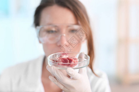 科学家将Petri饭和肉样本图片