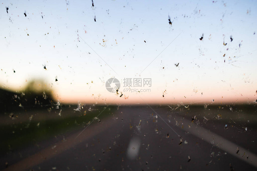 死虫喷射在挡风玻璃上背图片