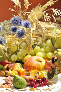 与水果和蔬菜的秋季安排图片