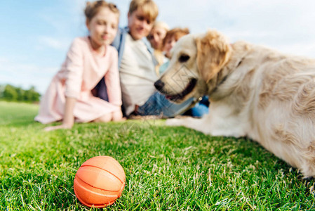 近视小橙色球和家庭与狗一起图片