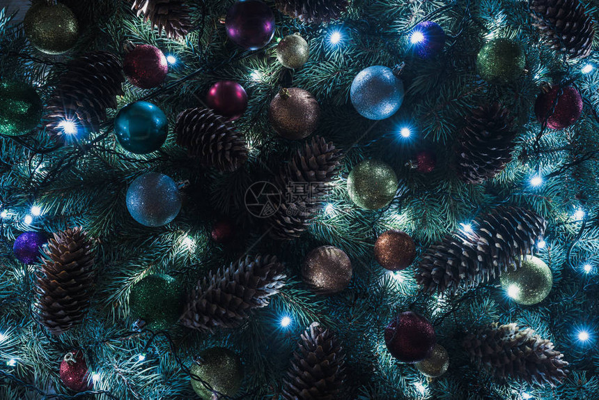 近距离观看美丽的圣诞树有松锥多彩的图片