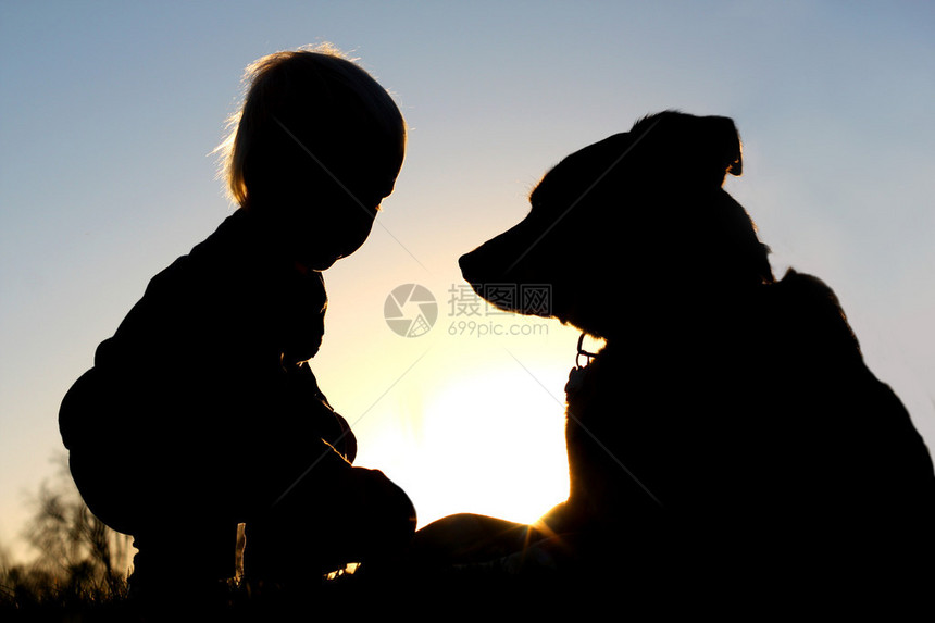 一个小孩的背影在日落时与他的大德国牧羊犬在外玩耍给图片