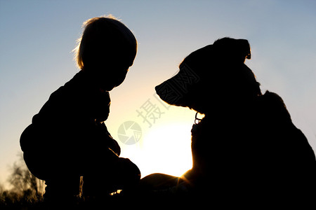 一个小孩的背影在日落时与他的大德国牧羊犬在外玩耍给图片