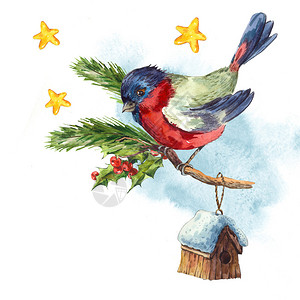 水彩复古圣诞快乐贺卡与红腹灰雀罗文冬青松锥背景图片