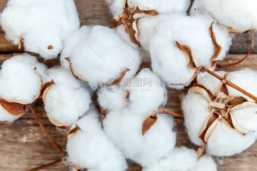 美丽的白色棉花在质朴的老式木制平躺背景上织物布料柔软度天然有机图片