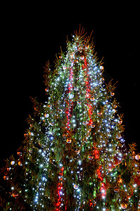 黑色背景下的圣诞装饰松树图片