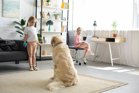 在家里使用金色猎犬的幼小儿童有选择图片