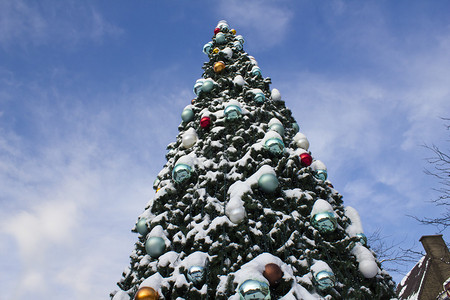 大圣诞树装饰着蛋球覆盖图片