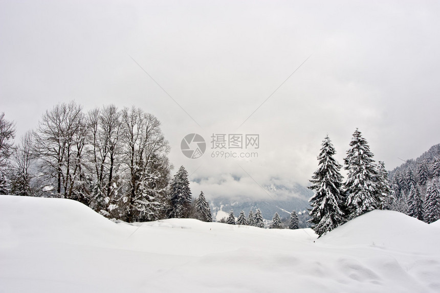 冬季风景照片图片