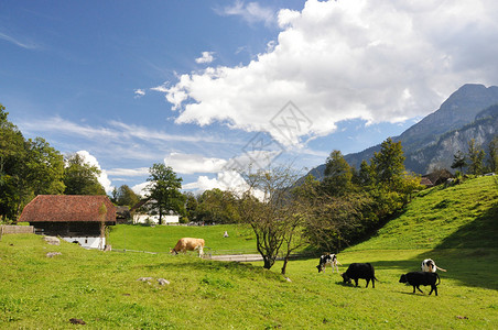 瑞士乡村风光图片