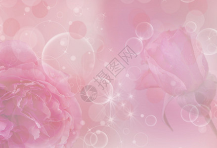粉红色婚礼背景的玫瑰图片